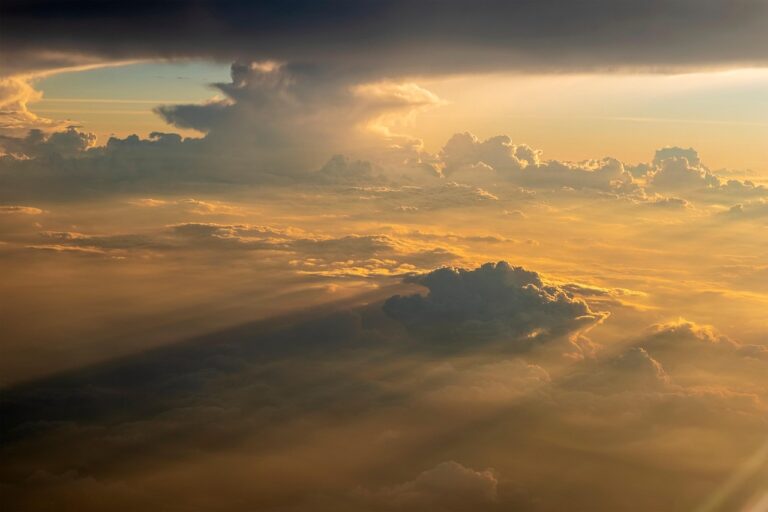 Tools für Ertragsprognose und Wirtschaftlichkeitsanalyse – welche Software wirklich weiterhilft