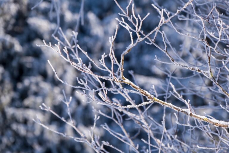 Wie Balkonkraftwerke im Winter effizient Strom liefern und Kosten sparen Balkonkraftwerk auf Balkon im Winter mit Schnee effizient Strom erzeugend