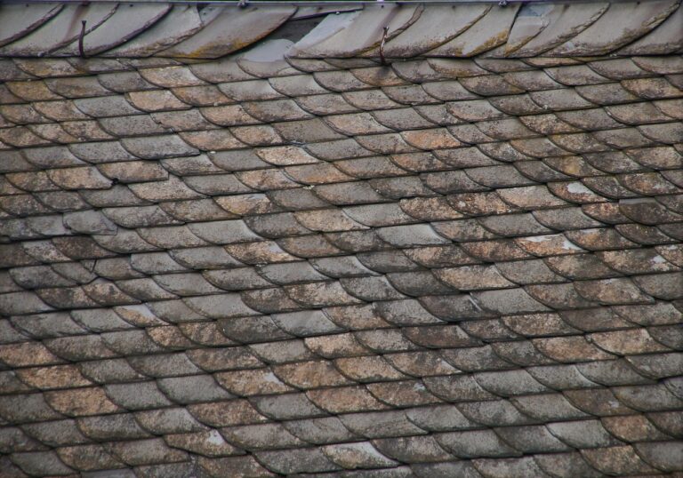 Hausbesitzer prüfen Dach mit Solarzellen bei moderner Dachsanierung und PV-Anlage