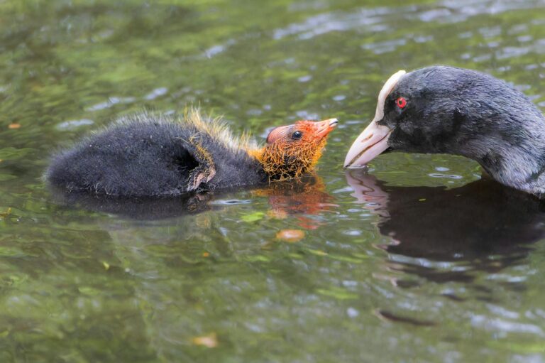 Eltern nutzen Solarstrom zur Kostensenkung und fördern nachhaltiges Umweltbewusstsein