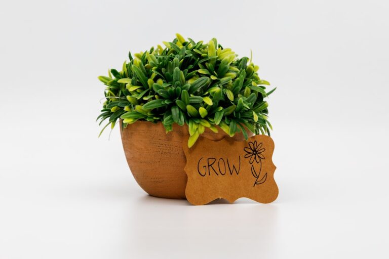 Nachhaltige Grow Solarbeleuchtung für energieeffiziente Pflanzenbeleuchtung im Garten und Indoorbereich