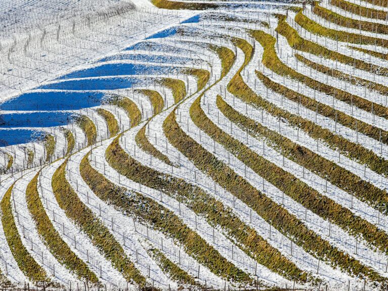 Solaranlage im Winter mit sauberer Oberfläche und optimaler Ausrichtung zur Ertragssteigerung